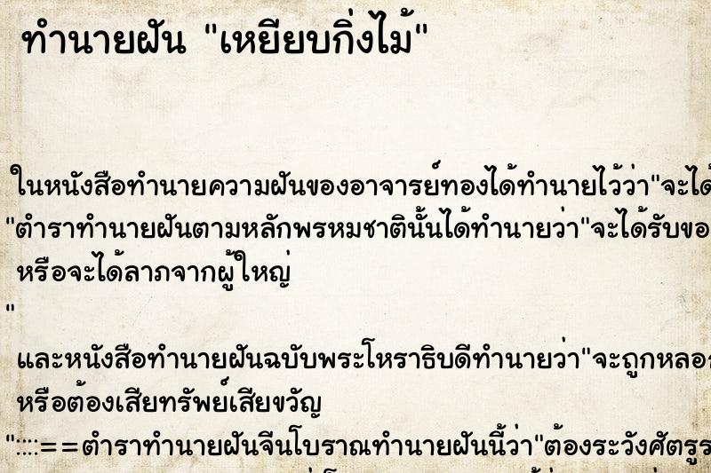 ทำนายฝันเหยียบกิ่งไม้ ทำนายฝันทำนายฝันเหยียบกิ่งไม้
