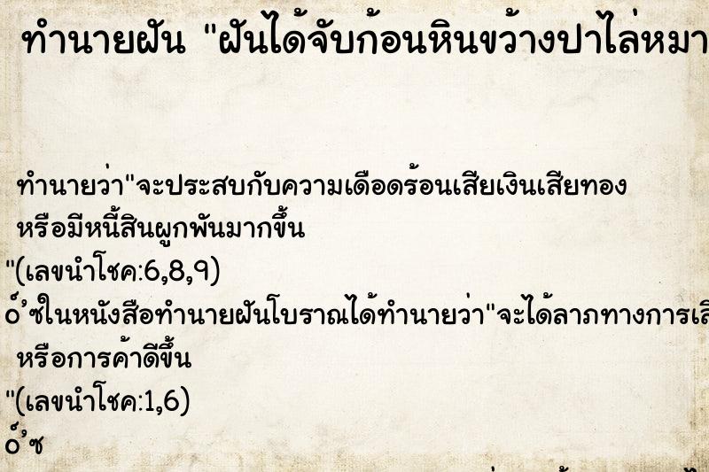 ทำนายฝัน ฝันได้จับก้อนหินขว้างปาไล่หมา ทำนายฝัน ฝันได้จับก้อนหินขว้างปาไล่หมา