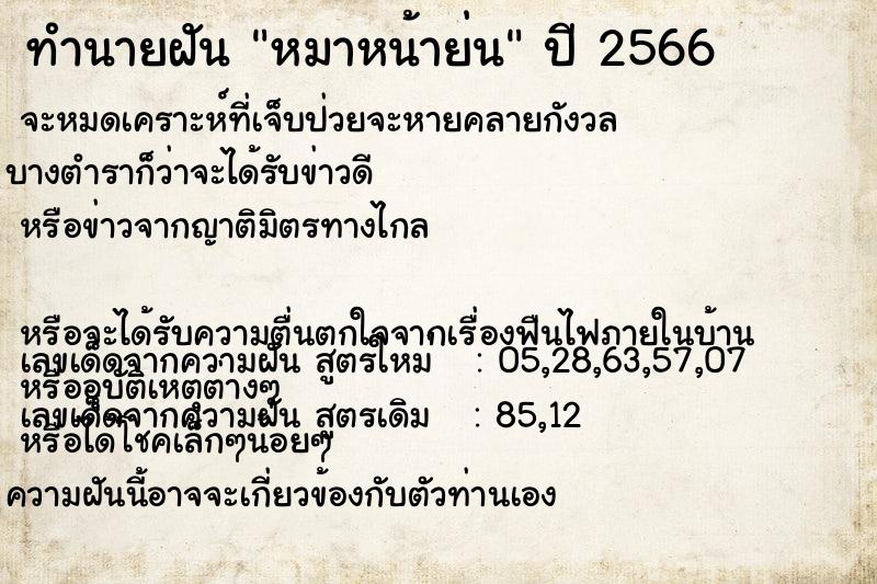 ทำนายฝัน หมาหน้าย่น แม่นๆ ฟรี ด้วยตำราหนังสือทำนายฝันโบราณ ทำนายฝันหมาหน้าย่น