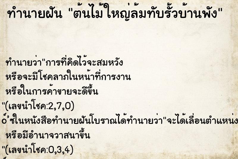 ทำนายฝันต้นไม้ใหญ่ล้มทับรั้วบ้านพัง ทำนายฝันทำนายฝันต้นไม้ใหญ่ล้มทับรั้วบ้านพัง