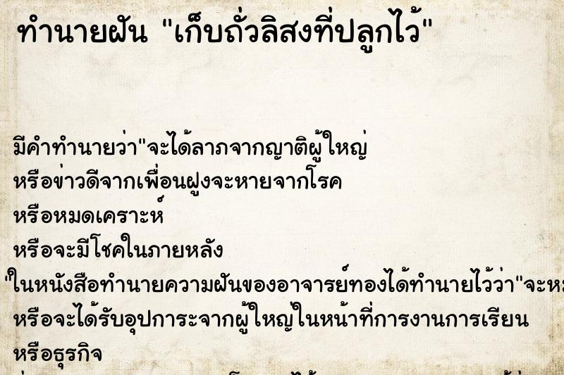 ทำนายฝันเก็บถั่วลิสงที่ปลูกไว้ ทำนายฝันทำนายฝันเก็บถั่วลิสงที่ปลูกไว้