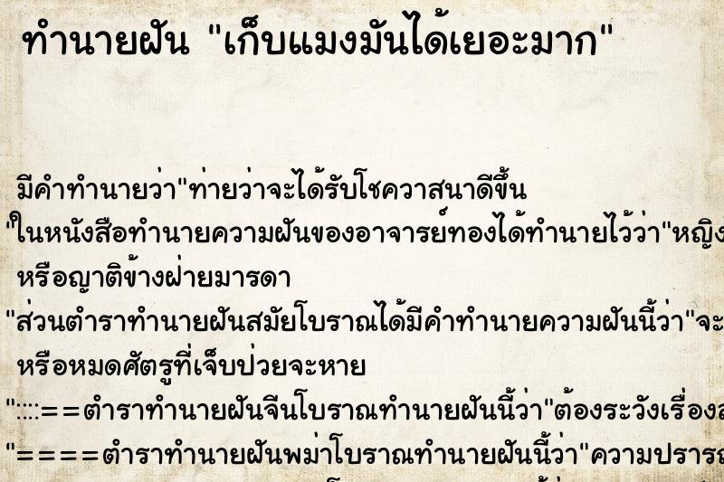 ทำนายฝัน เก็บแมงมันได้เยอะมาก ตำราโบราณ แม่นที่สุดในโลก