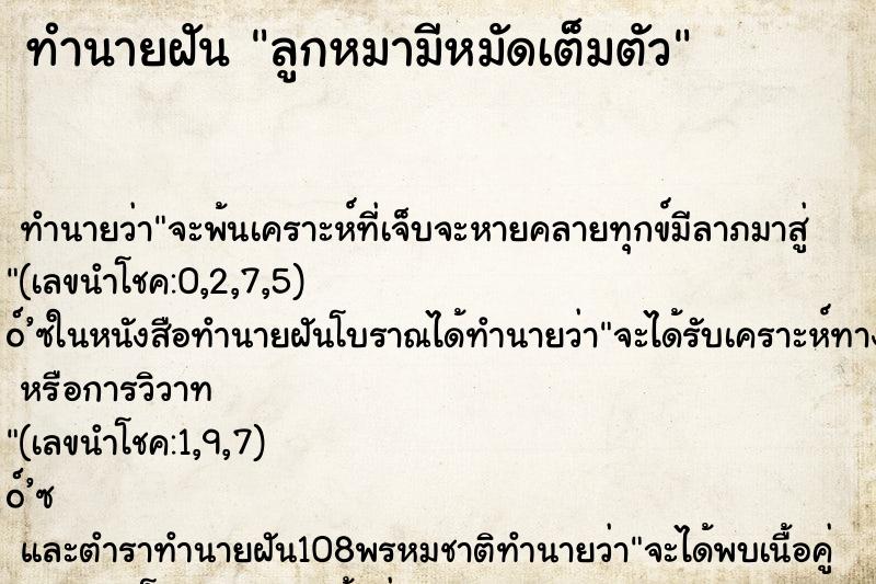 ทำนายฝัน ลูกหมามีหมัดเต็มตัว