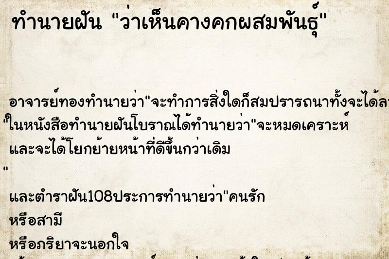 ทำนายฝันว่าเห็นคางคกผสมพันธุ์ ทำนายฝันทำนายฝันว่าเห็นคางคกผสมพันธุ์