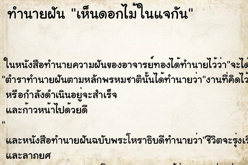 ทำนายฝันเห็นดอกไม้ในแจกัน ทำนายฝันทำนายฝันเห็นดอกไม้ในแจกัน