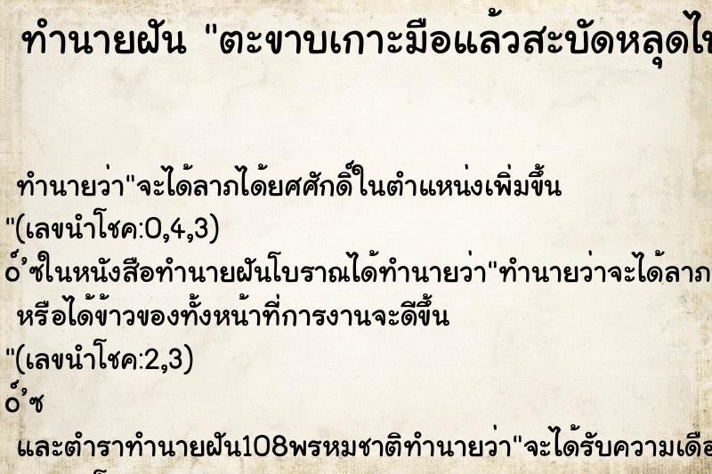 ทำนายฝัน ตะขาบเกาะมือแล้วสะบัดหลุดไป ทำนายฝัน ตะขาบเกาะมือแล้วสะบัดหลุดไป