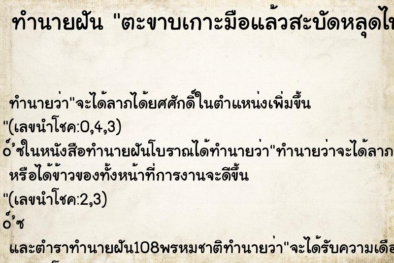 ทำนายฝัน ตะขาบเกาะมือแล้วสะบัดหลุดไป ตำราโบราณ แม่นที่สุดในโลก