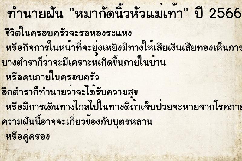 ทำนายฝัน หมากัดนิ้วหัวแม่เท้า ตำราโบราณ แม่นที่สุดในโลก