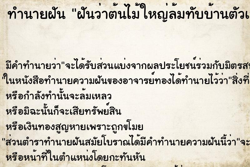 ทำนายฝัน ฝันว่าต้นไม้ใหญ่ล้มทับบ้านตัวเอง ตำราโบราณ แม่นที่สุดในโลก