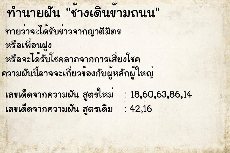 ทำนายฝัน ช้างเดินข้ามถนน ทำนายฝัน ช้างเดินข้ามถนน