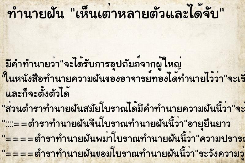 ทำนายฝัน เห็นเต่าหลายตัวและได้จับ