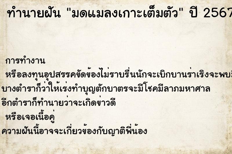 ทำนายฝันมดแมลงเกาะเต็มตัว ทำนายฝันทำนายฝันมดแมลงเกาะเต็มตัว