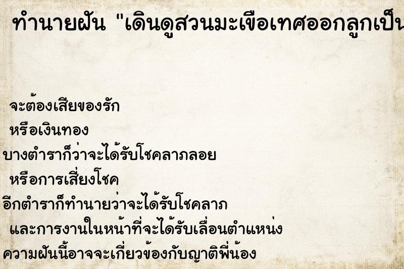 ทำนายฝันเดินดูสวนมะเขือเทศออกลูกเป็นสีชมพูมากมาย ทำนายฝันทำนายฝันเดินดูสวนมะเขือเทศออกลูกเป็นสีชมพูมากมาย