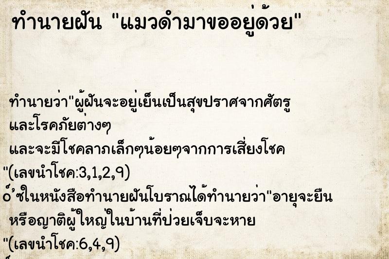 ทำนายฝันแมวดำมาขออยู่ด้วย ทำนายฝันทำนายฝันแมวดำมาขออยู่ด้วย