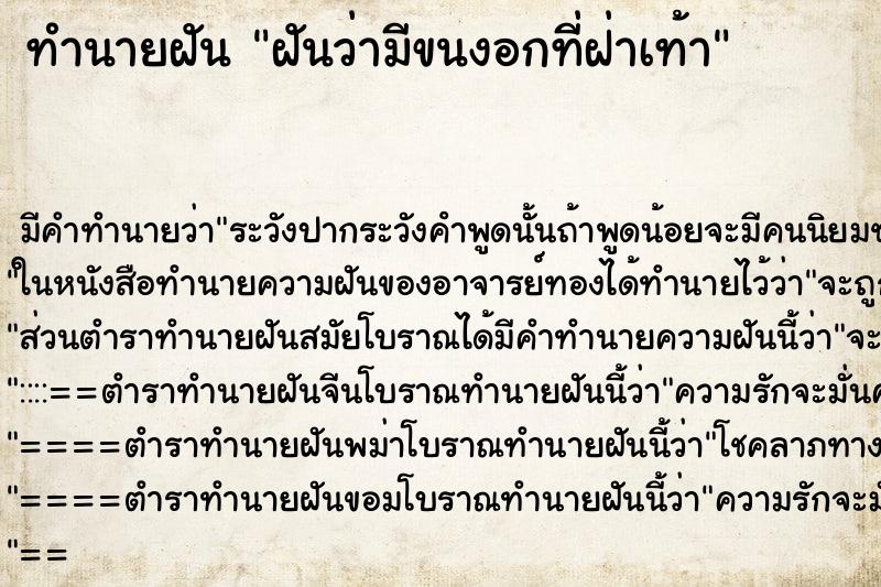 ทำนายฝัน ฝันว่ามีขนงอกที่ฝ่าเท้า ทำนายฝัน ฝันว่ามีขนงอกที่ฝ่าเท้า