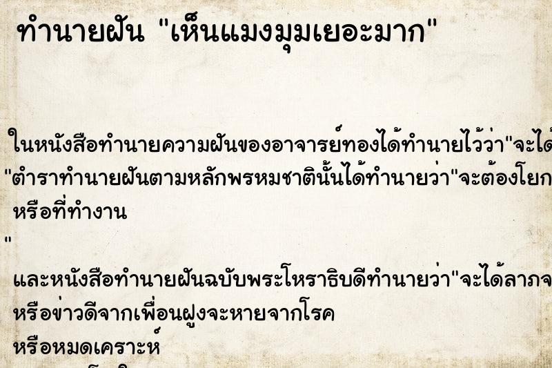 ทำนายฝันทำนายฝันเห็นแมงมุมเยอะมาก