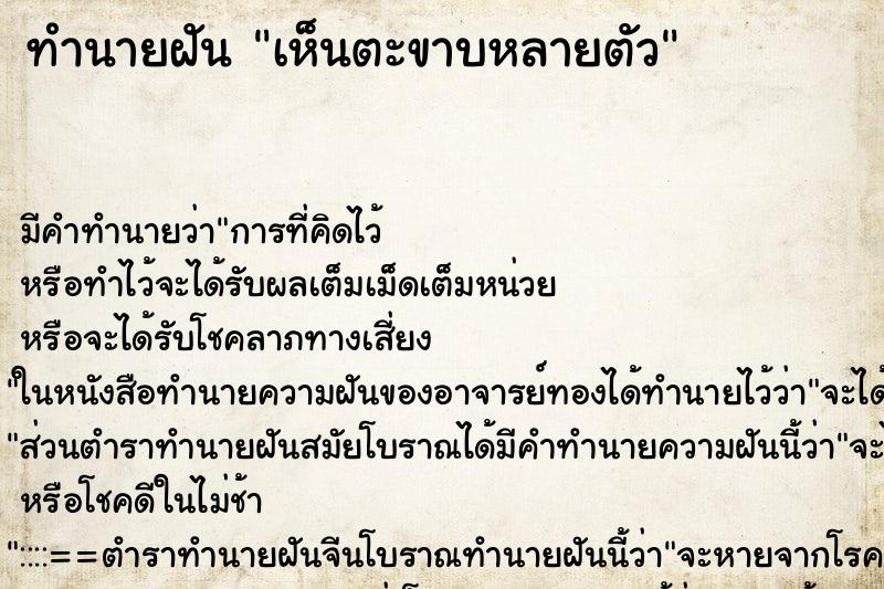 ทำนายฝัน เห็นตะขาบหลายตัว ทำนายฝัน เห็นตะขาบหลายตัว