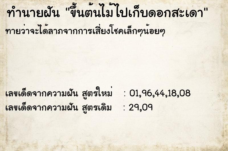ทำนายฝัน ขึ้นต้นไม้ไปเก็บดอกสะเดา
