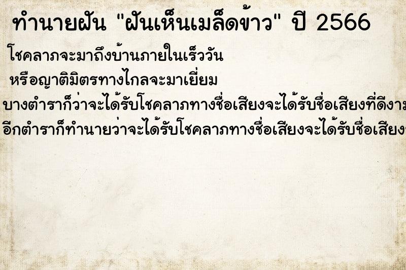 ทำนายฝันฝันเห็นเมล็ดข้าว ทำนายฝันทำนายฝันฝันเห็นเมล็ดข้าว