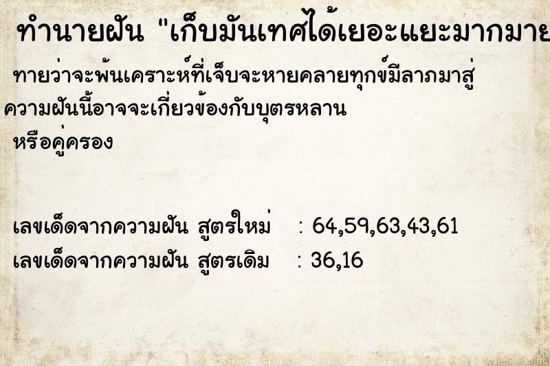ทำนายฝันเก็บมันเทศได้เยอะแยะมากมาย ทำนายฝันทำนายฝันเก็บมันเทศได้เยอะแยะมากมาย