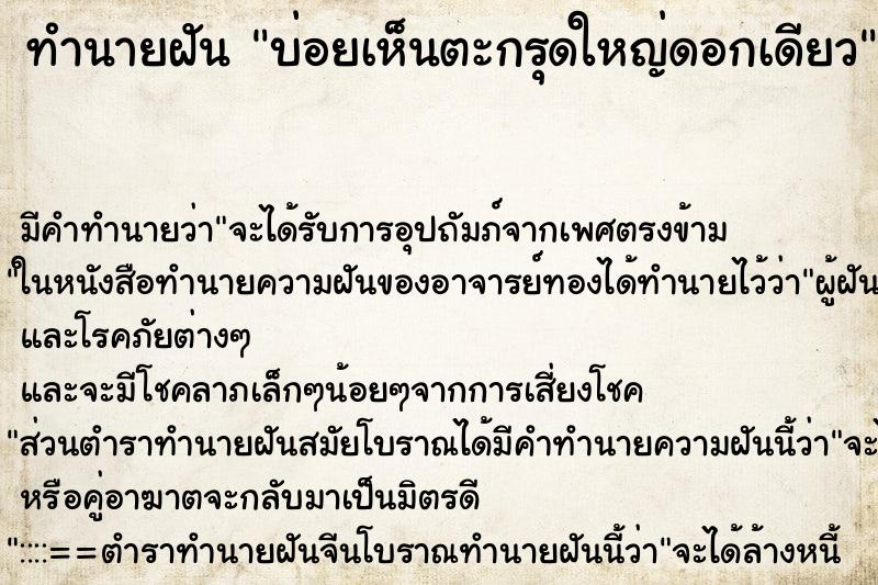 ทำนายฝันบ่อยเห็นตะกรุดใหญ่ดอกเดียว ทำนายฝันทำนายฝันบ่อยเห็นตะกรุดใหญ่ดอกเดียว