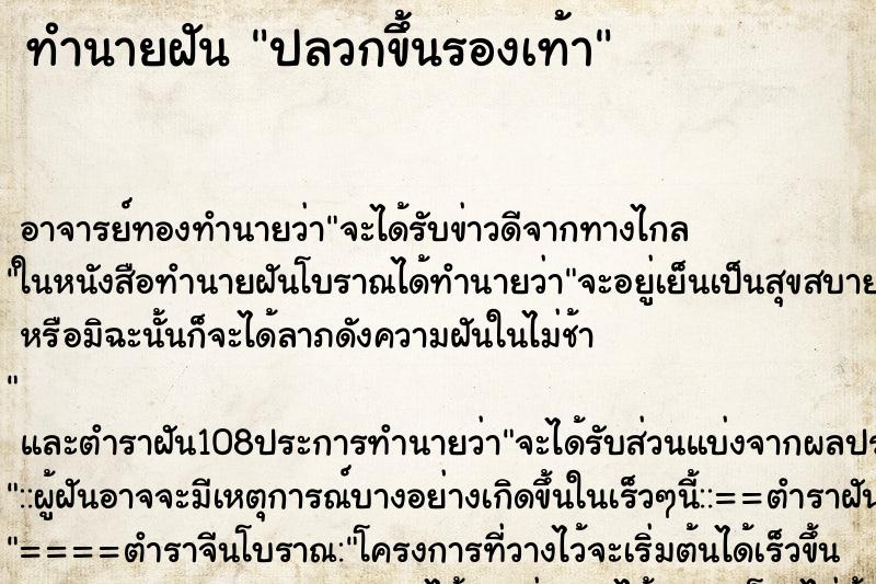 ทำนายฝัน ปลวกขึ้นรองเท้า ตำราโบราณ แม่นที่สุดในโลก