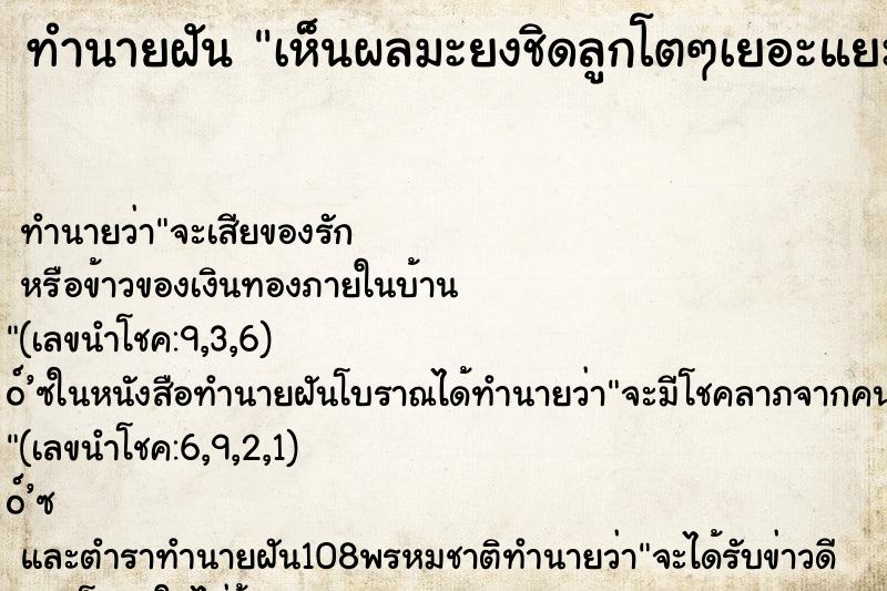 ทำนายฝัน เห็นผลมะยงชิดลูกโตๆเยอะแยะมากมายเหลืองอร่ามไปหมด ทำนายฝัน เห็นผลมะยงชิดลูกโตๆเยอะแยะมากมายเหลืองอร่ามไปหมด