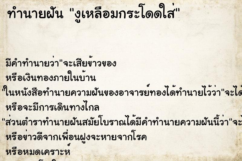 ทำนายฝัน งูเหลือมกระโดดใส่ ทำนายฝัน งูเหลือมกระโดดใส่