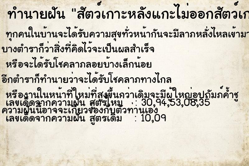 ทำนายฝัน สัตว์เกาะหลังแกะไม่ออกสัตว์เกาะหลังแกะไม่ออก ทำนายฝัน สัตว์เกาะหลังแกะไม่ออกสัตว์เกาะหลังแกะไม่ออก