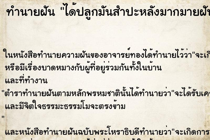 ทำนายฝันทำนายฝันได้ปลูกมันสำปะหลังมากมายฝันเห็นมันมากมาย