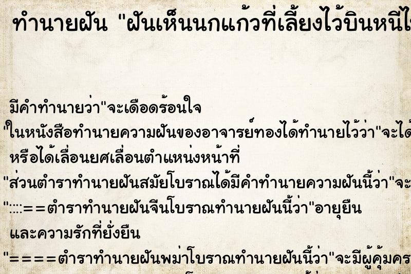 ทำนายฝัน ฝันเห็นนกแก้วที่เลี้ยงไว้บินหนีไป ตำราโบราณ แม่นที่สุดในโลก