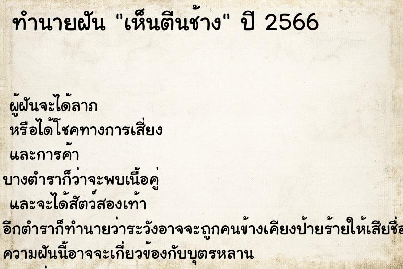ทำนายฝัน เห็นตีนช้าง ทำนายฝัน เห็นตีนช้าง