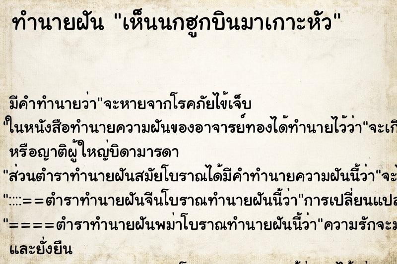 ทำนายฝัน เห็นนกฮูกบินมาเกาะหัว ทำนายฝัน เห็นนกฮูกบินมาเกาะหัว