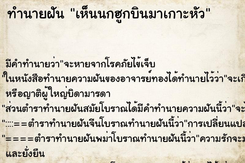 ทำนายฝัน เห็นนกฮูกบินมาเกาะหัว ตำราโบราณ แม่นที่สุดในโลก