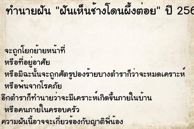 ทำนายฝันฝันเห็นช้างโดนผึ้งต่อย ทำนายฝันทำนายฝันฝันเห็นช้างโดนผึ้งต่อย