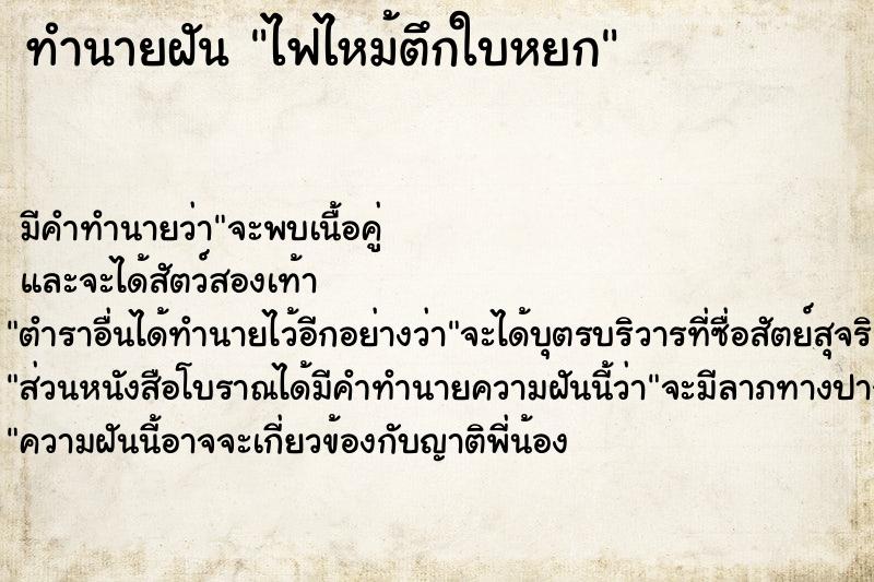 ทำนายฝัน ไฟไหม้ตึกใบหยก ทำนายฝัน ไฟไหม้ตึกใบหยก