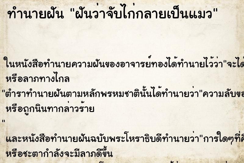 ทำนายฝันฝันว่าจับไก่กลายเป็นแมว ทำนายฝันทำนายฝันฝันว่าจับไก่กลายเป็นแมว