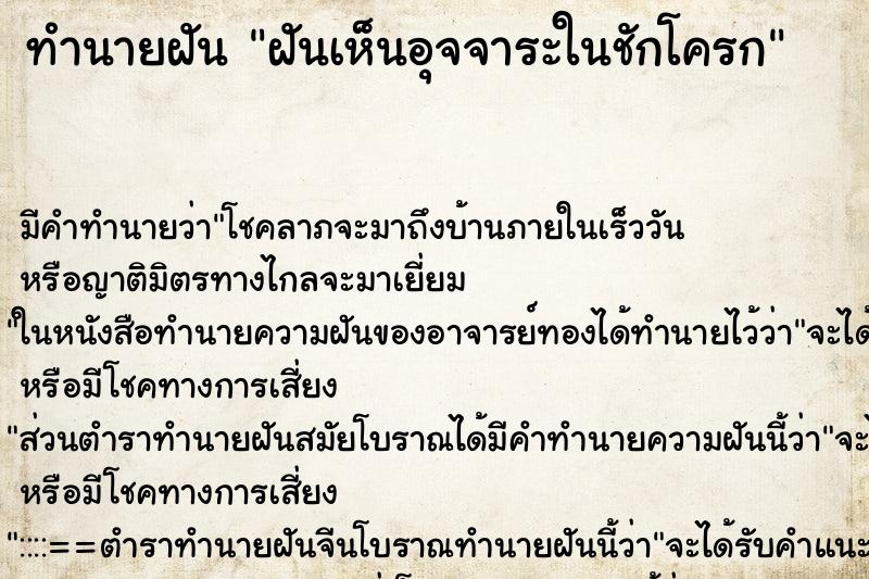 ทำนายฝัน ฝันเห็นอุจจาระในชักโครก ทำนายฝัน ฝันเห็นอุจจาระในชักโครก