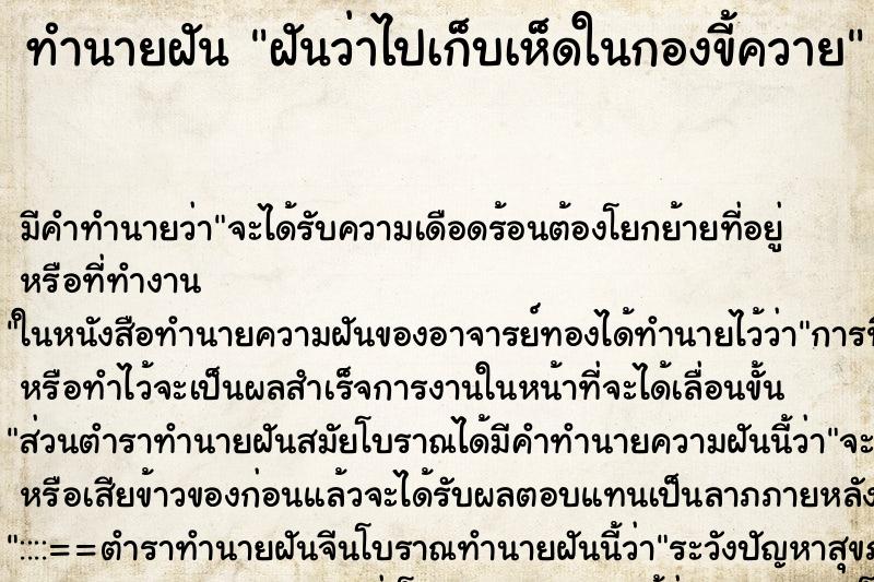 ทำนายฝันฝันว่าไปเก็บเห็ดในกองขี้ควาย ทำนายฝันทำนายฝันฝันว่าไปเก็บเห็ดในกองขี้ควาย
