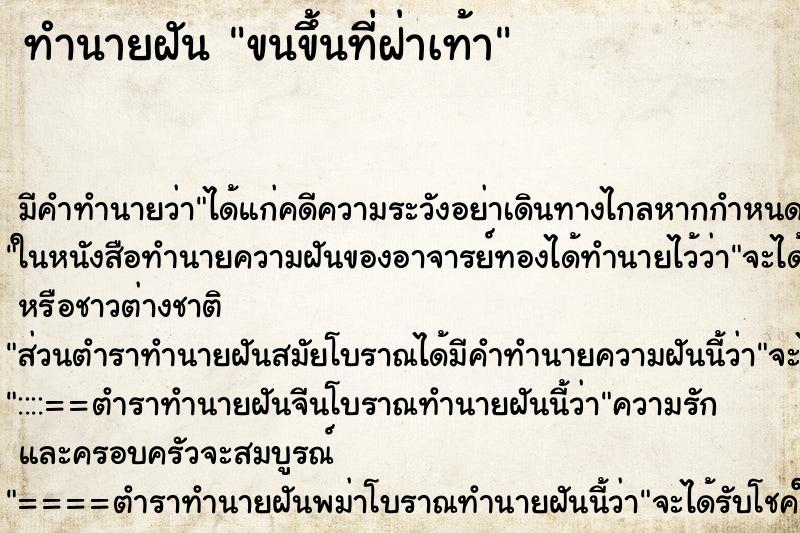 ทำนายฝัน ขนขึ้นที่ฝ่าเท้า ทำนายฝัน ขนขึ้นที่ฝ่าเท้า