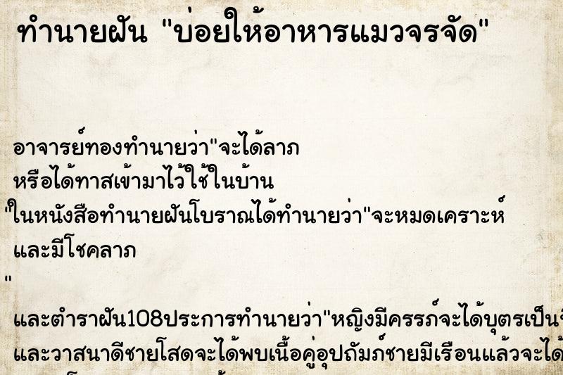 ทำนายฝันบ่อยให้อาหารแมวจรจัด ทำนายฝันทำนายฝันบ่อยให้อาหารแมวจรจัด