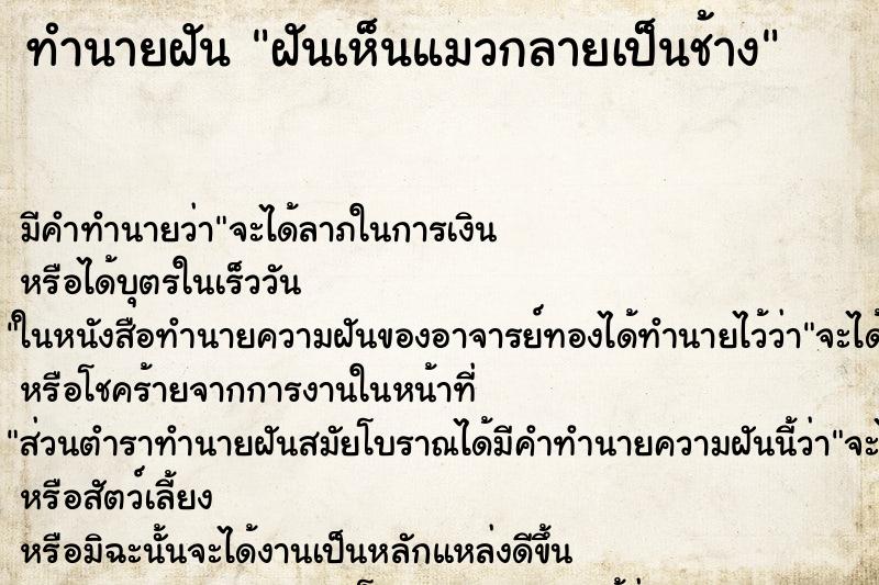ทำนายฝัน ฝันเห็นแมวกลายเป็นช้าง ทำนายฝัน ฝันเห็นแมวกลายเป็นช้าง