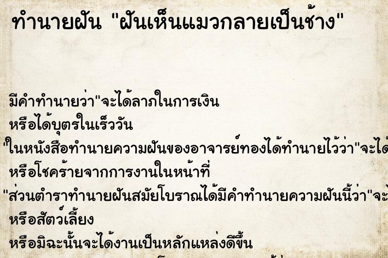 ทำนายฝัน ฝันเห็นแมวกลายเป็นช้าง ตำราโบราณ แม่นที่สุดในโลก