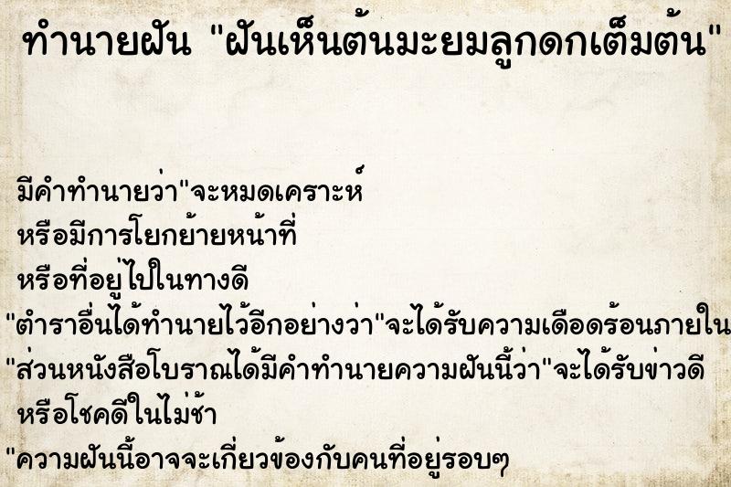 ทำนายฝันทำนายฝันฝันเห็นต้นมะยมลูกดกเต็มต้น