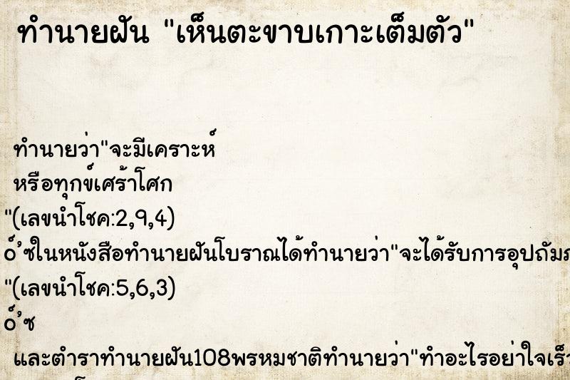ทำนายฝัน เห็นตะขาบเกาะเต็มตัว ทำนายฝัน เห็นตะขาบเกาะเต็มตัว
