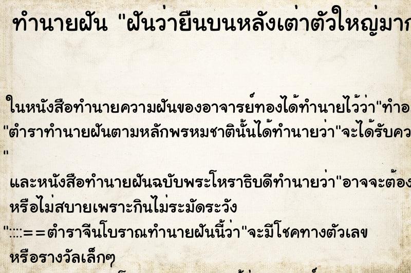 ทำนายฝันทำนายฝันฝันว่ายืนบนหลังเต่าตัวใหญ่มาก