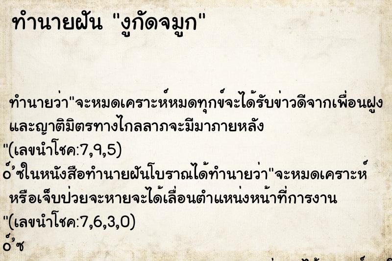ทำนายฝัน งูกัดจมูก