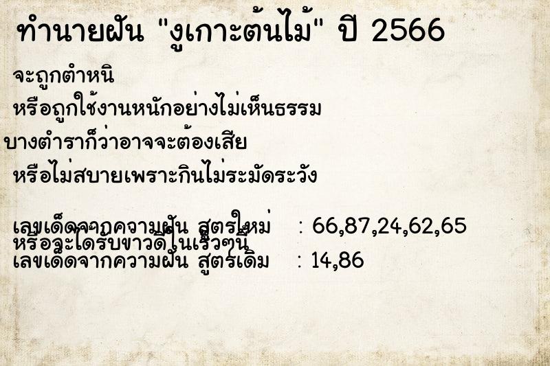 ทำนายฝัน งูเกาะต้นไม้ ทำนายฝัน งูเกาะต้นไม้