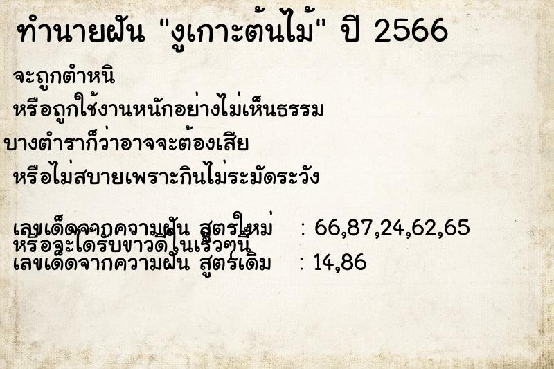 ทำนายฝัน งูเกาะต้นไม้ ตำราโบราณ แม่นที่สุดในโลก