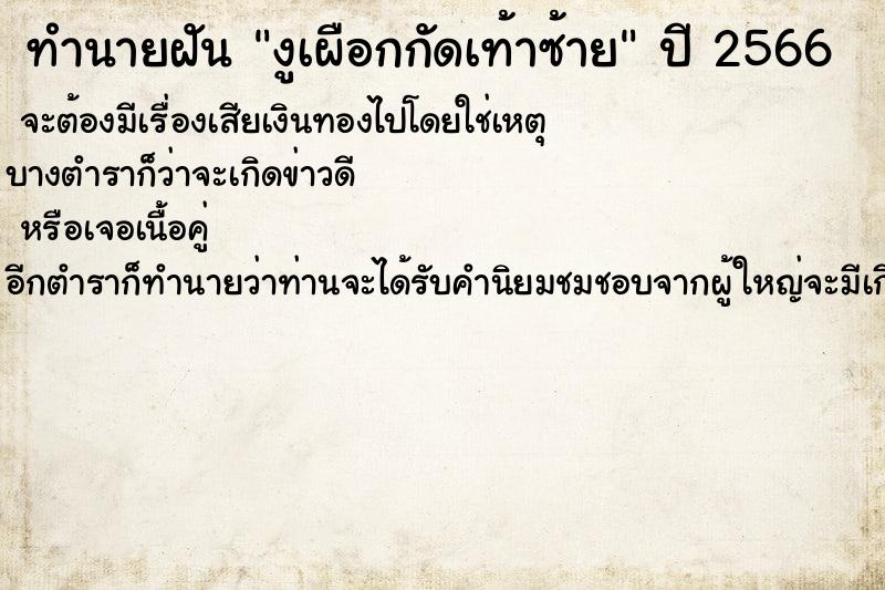 ทำนายฝัน งูเผือกกัดเท้าซ้าย ทำนายฝัน งูเผือกกัดเท้าซ้าย